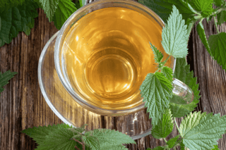 teaser bradnetel thee resized