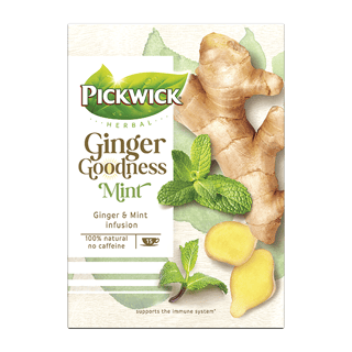 Ginger Goodness mint resized