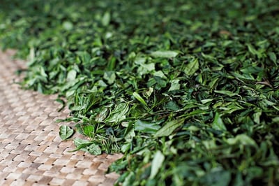 theeblaadjes verwelken