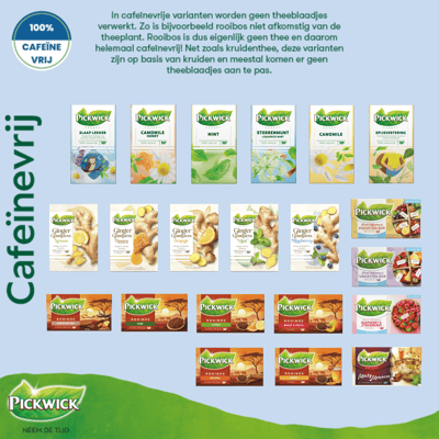 Pickwick cafeïnevrije thee Visual Wk 8 2025 1