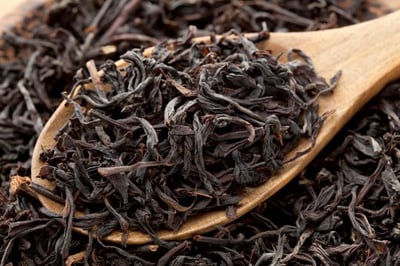 pickwick black tea teaser