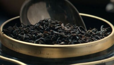 pickwick black tea teaser