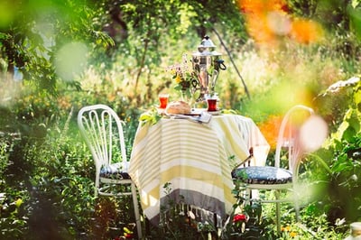 pickwick forest fruits recipe