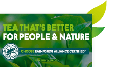choose rainforest alliance tea leafs