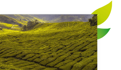 Duurzaamheid pagina duurzame verpakking banner