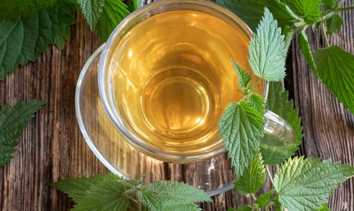 hero banner brandnetel thee