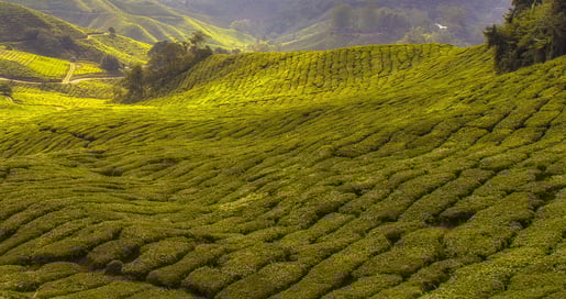 Herro banner duurzame verpakking