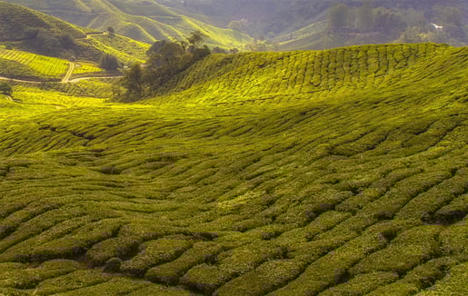 Herro banner duurzame verpakking MOBILE 2