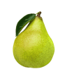 pickwick pear resized  1
